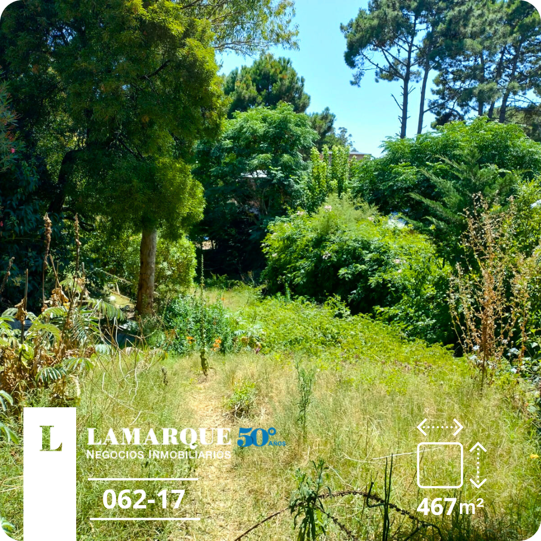 Lamarque